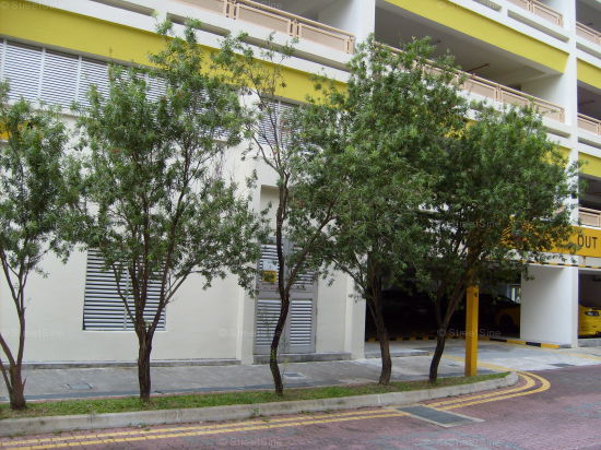 Blk 141A Lorong 2 Toa Payoh (Toa Payoh), HDB 4 Rooms #400832